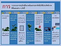 การวางระบบการอนุรักษ์สิ่งแวดล้อมธรรมชาติและศิลปกรรม
